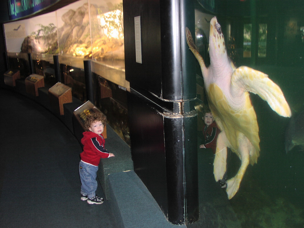 P1010052.JPG