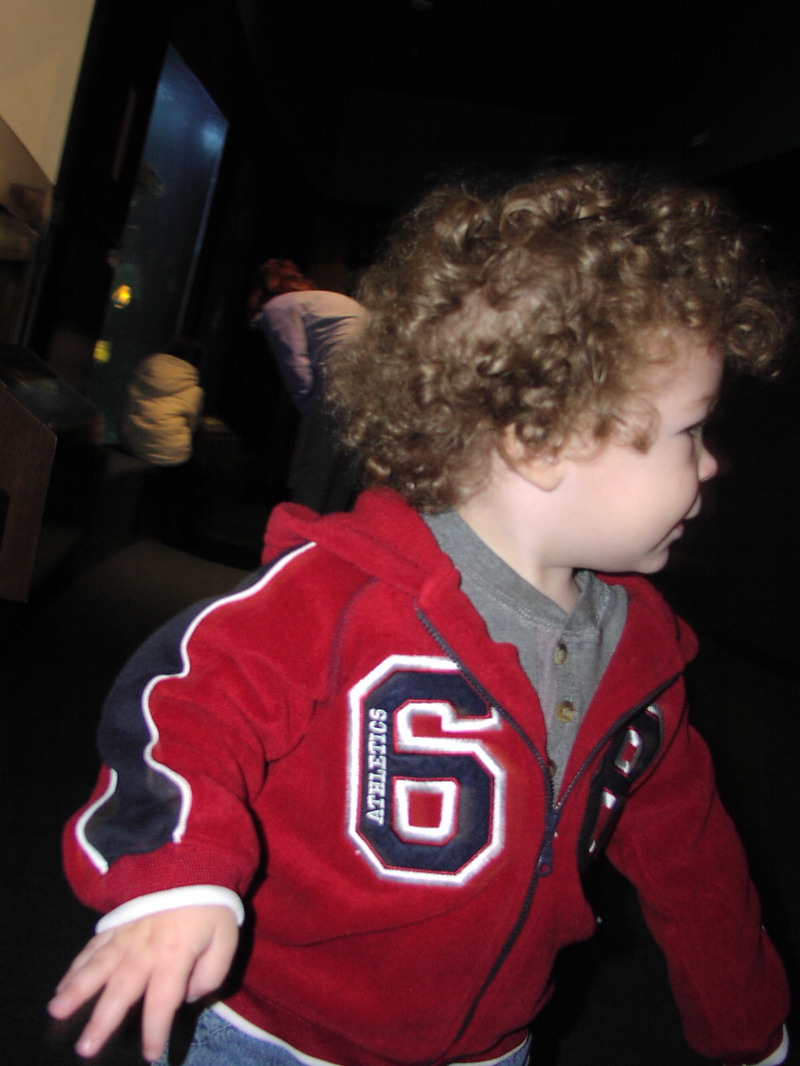 P1010053.JPG