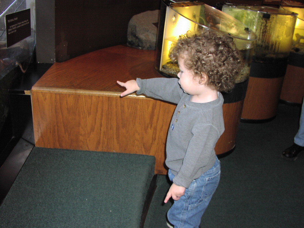 P1010054.JPG