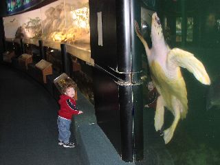 P1010052.JPG