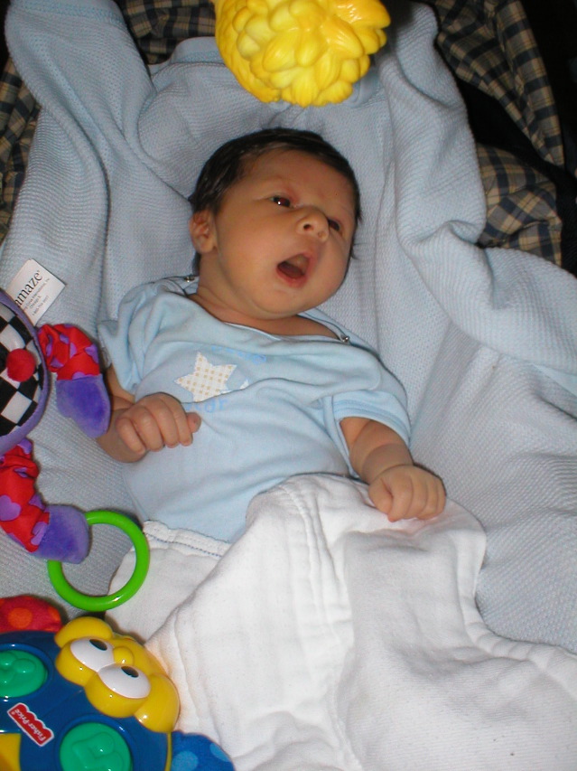 P1010018.JPG
